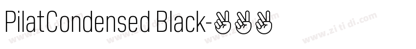 PilatCondensed Black字体转换